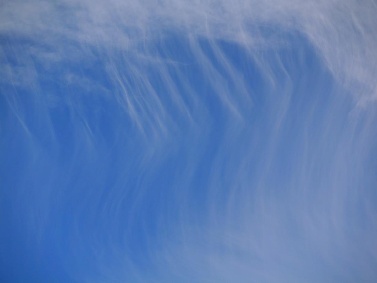 P1133525a.JPG