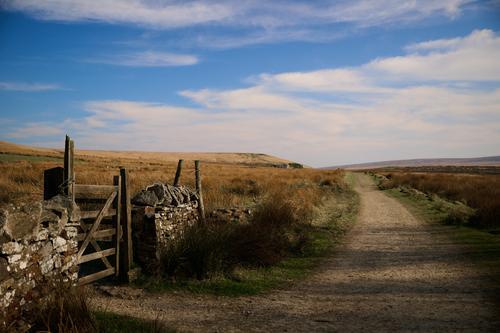 DSC_0565.jpg