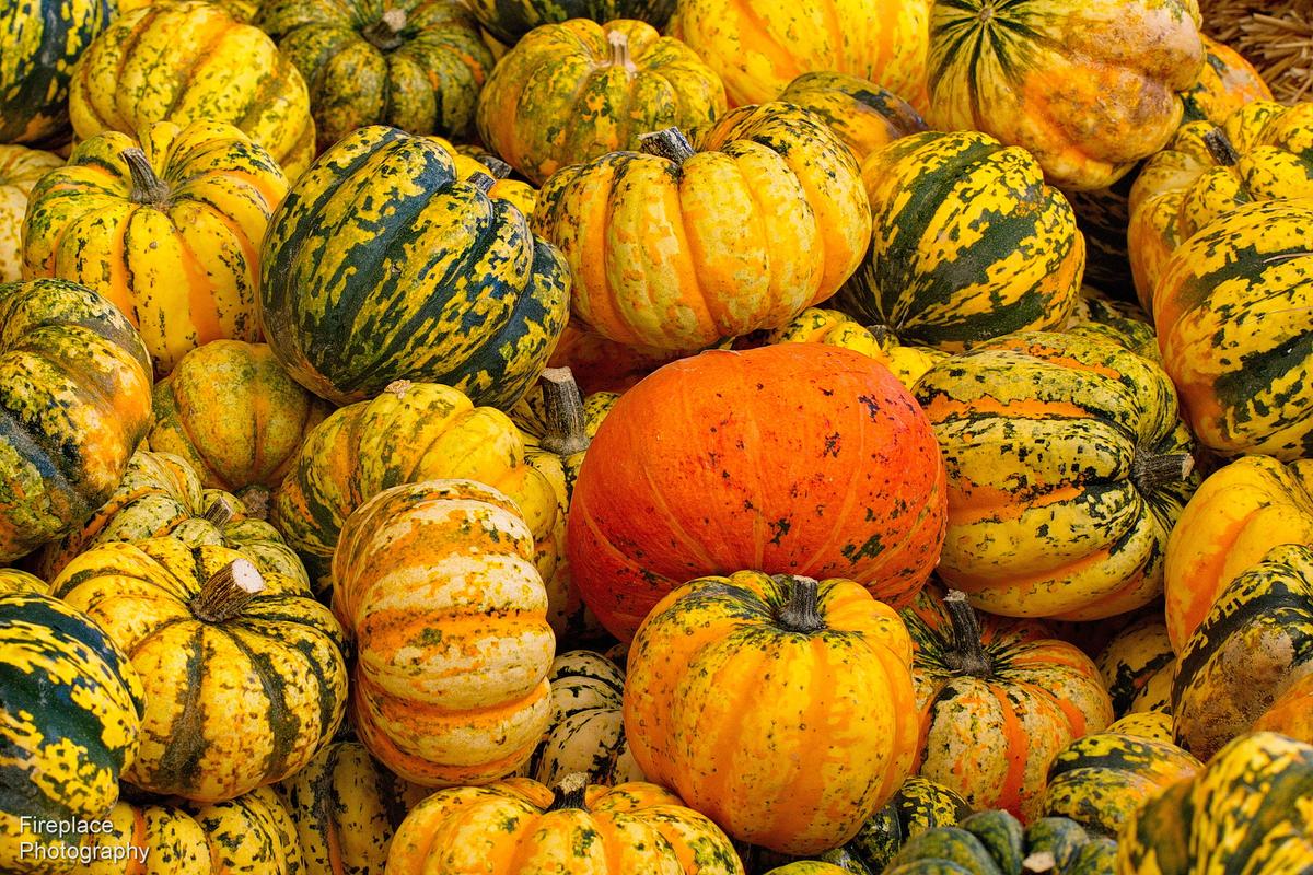DSC_1348 d smaller.JPG