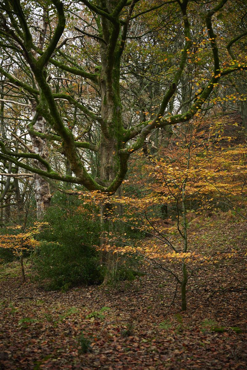 DSC_8900.jpg