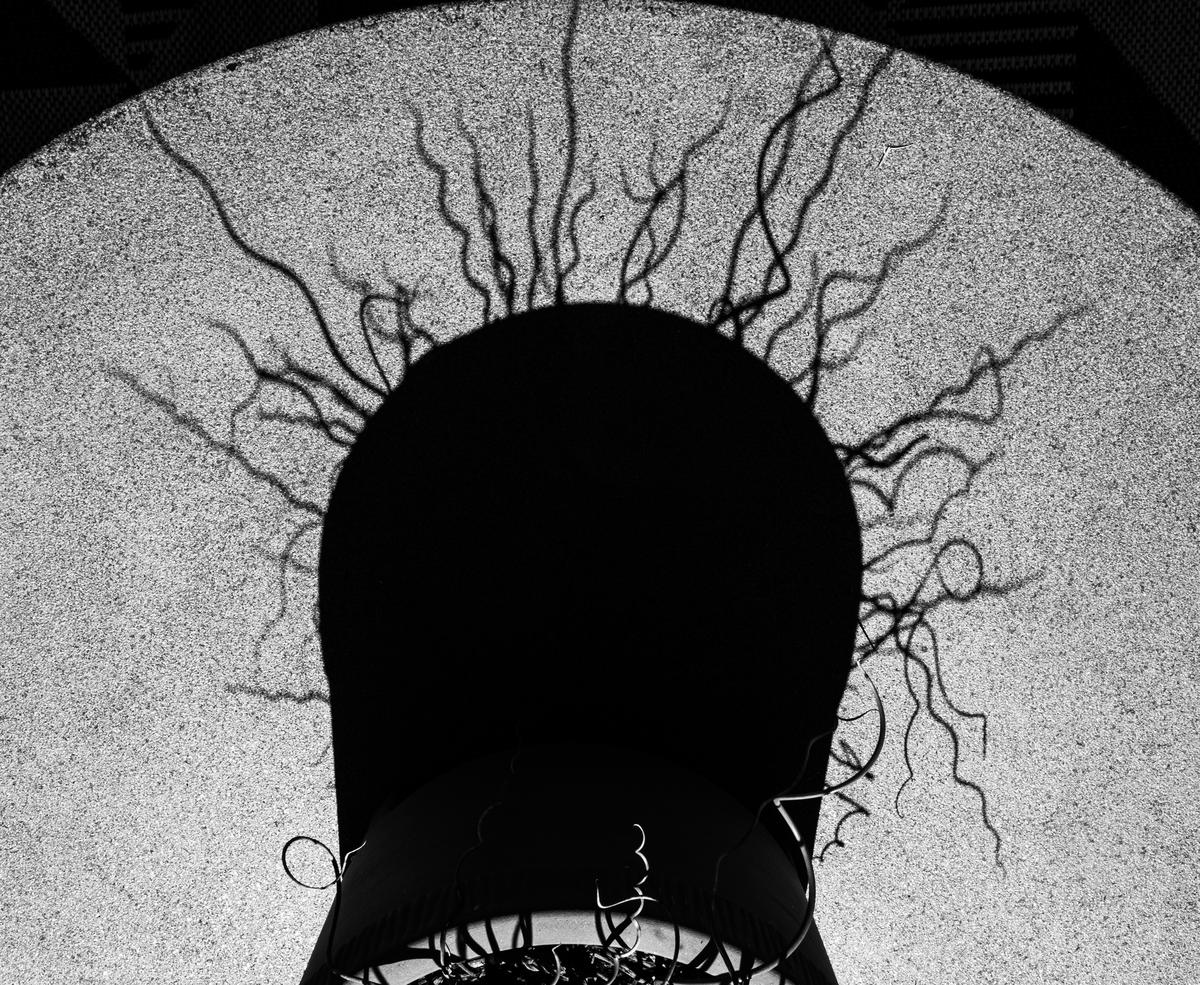 _A090032.jpeg