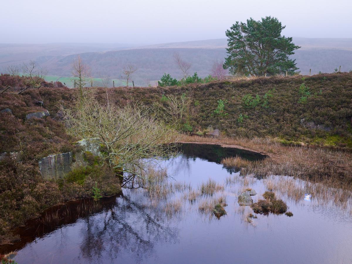 DSC_1933.jpg