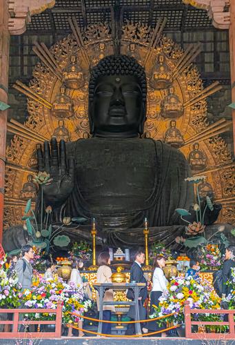 Nara 20250410 - 42.jpg