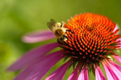 SDIM3786.jpg