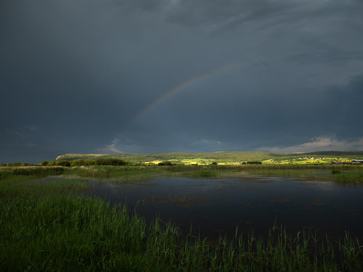 P5286545.jpg