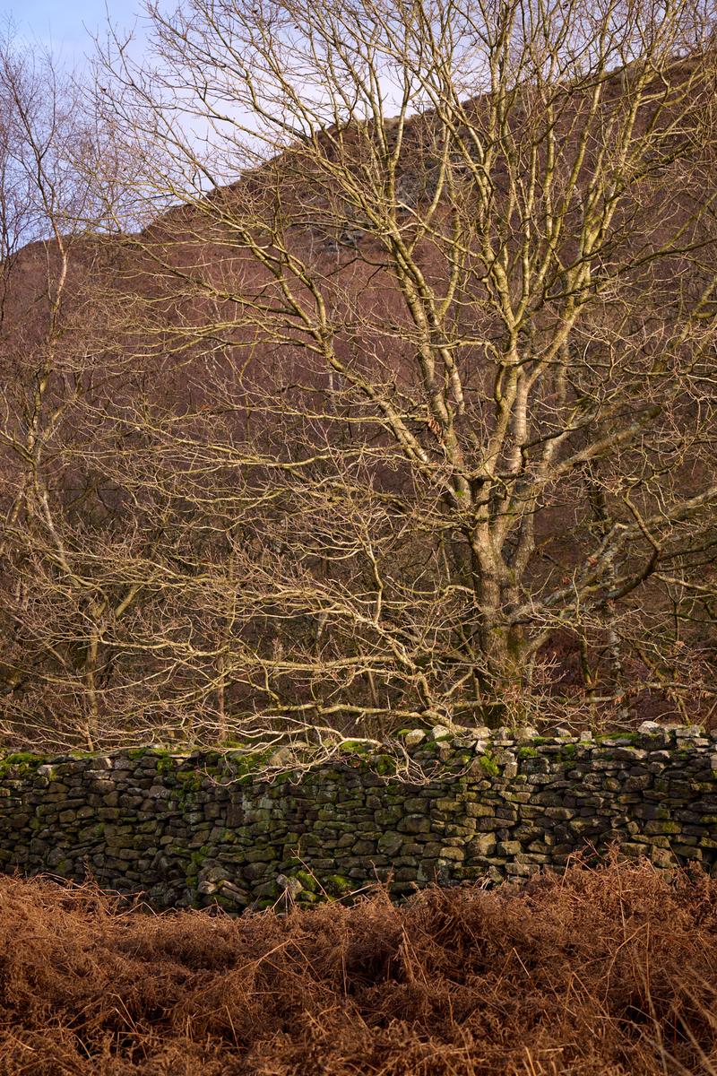 DSC_0143.jpg