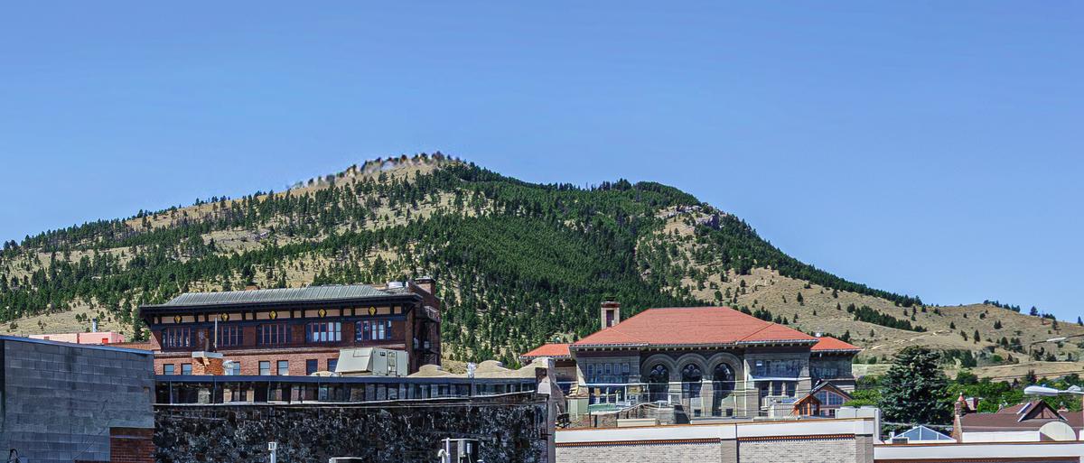 _DSC2569-2.jpg