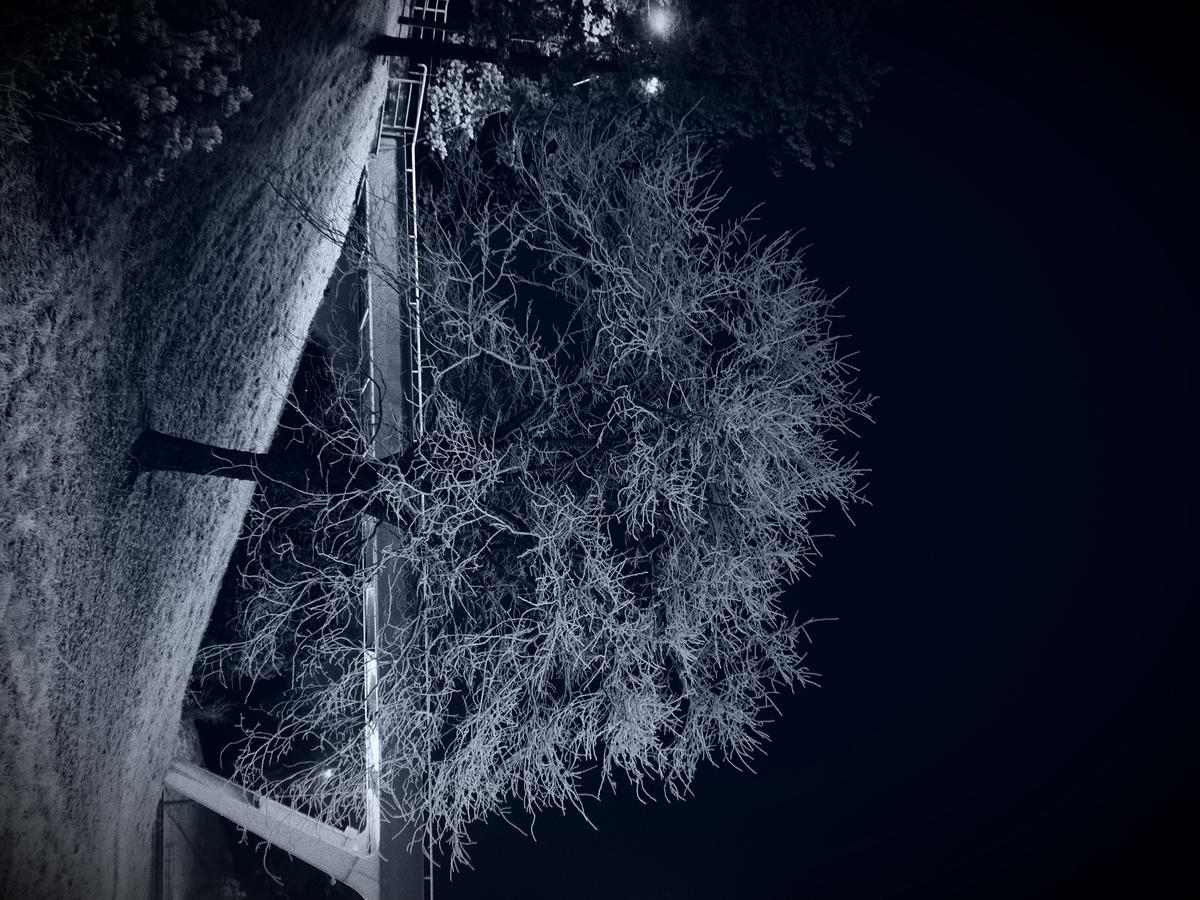 PB190074.JPG