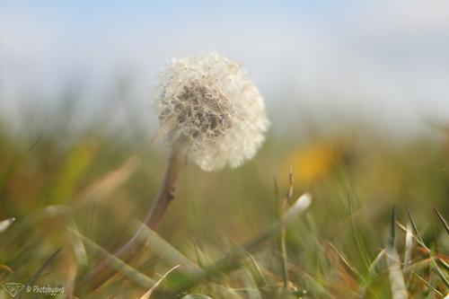 62A_1543.jpg