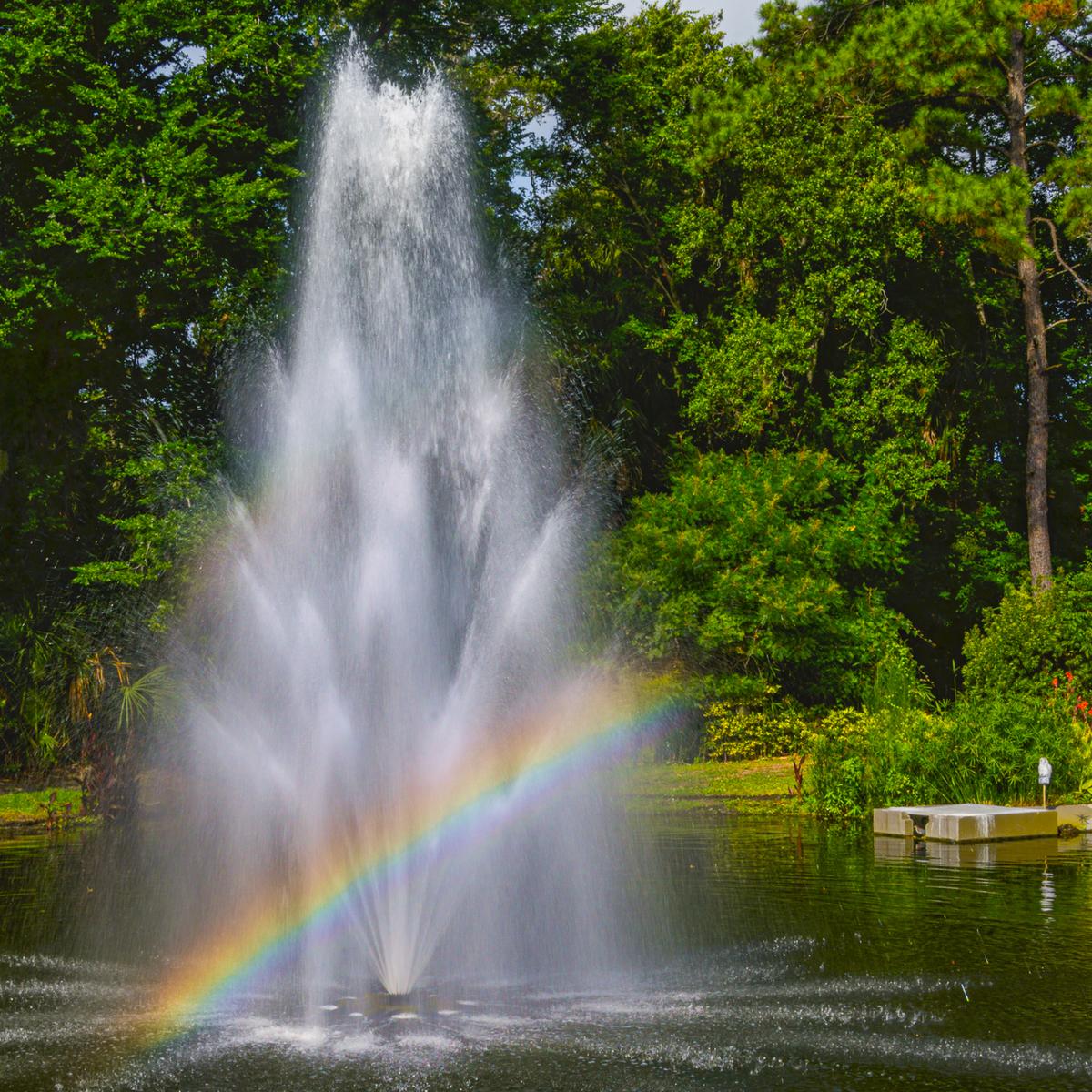 Rainbow.jpg