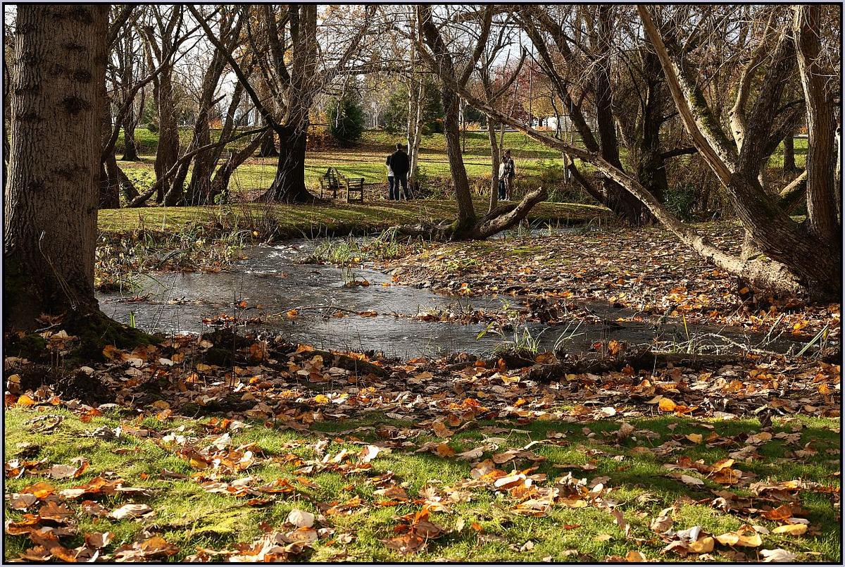 ResizedR8-DPR5.jpg
