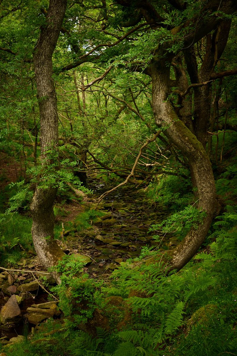 DSC_5482.jpg