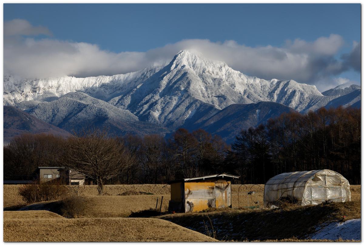 Shed with a view.jpg