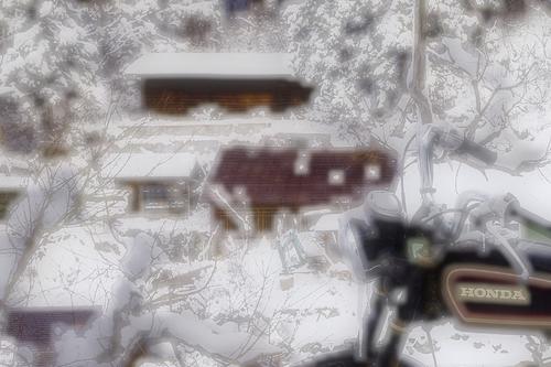 editme-25_DxO_2_PSP_halo.jpg