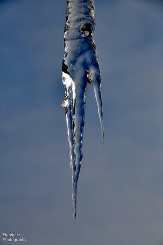 DSC_2035a smaller.JPG