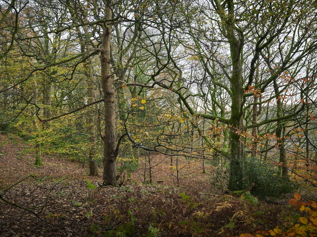 DSC_8914.jpg