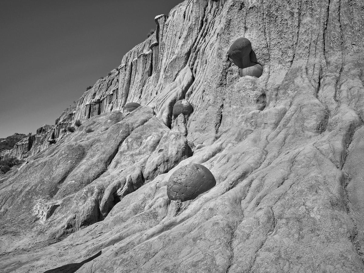 TRNP-North-GFRF0854-20250728-1048-topaz.jpg