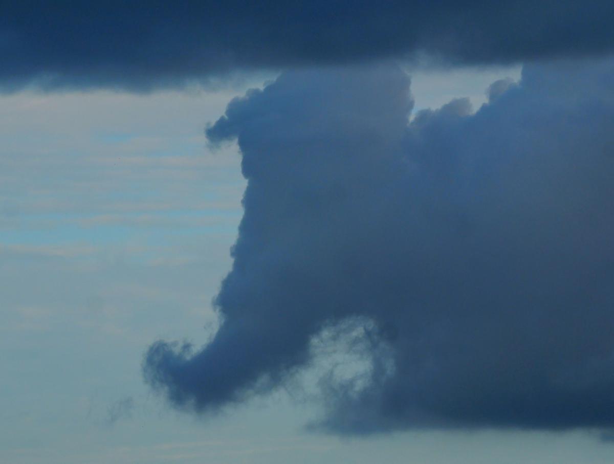 P1178291a.JPG