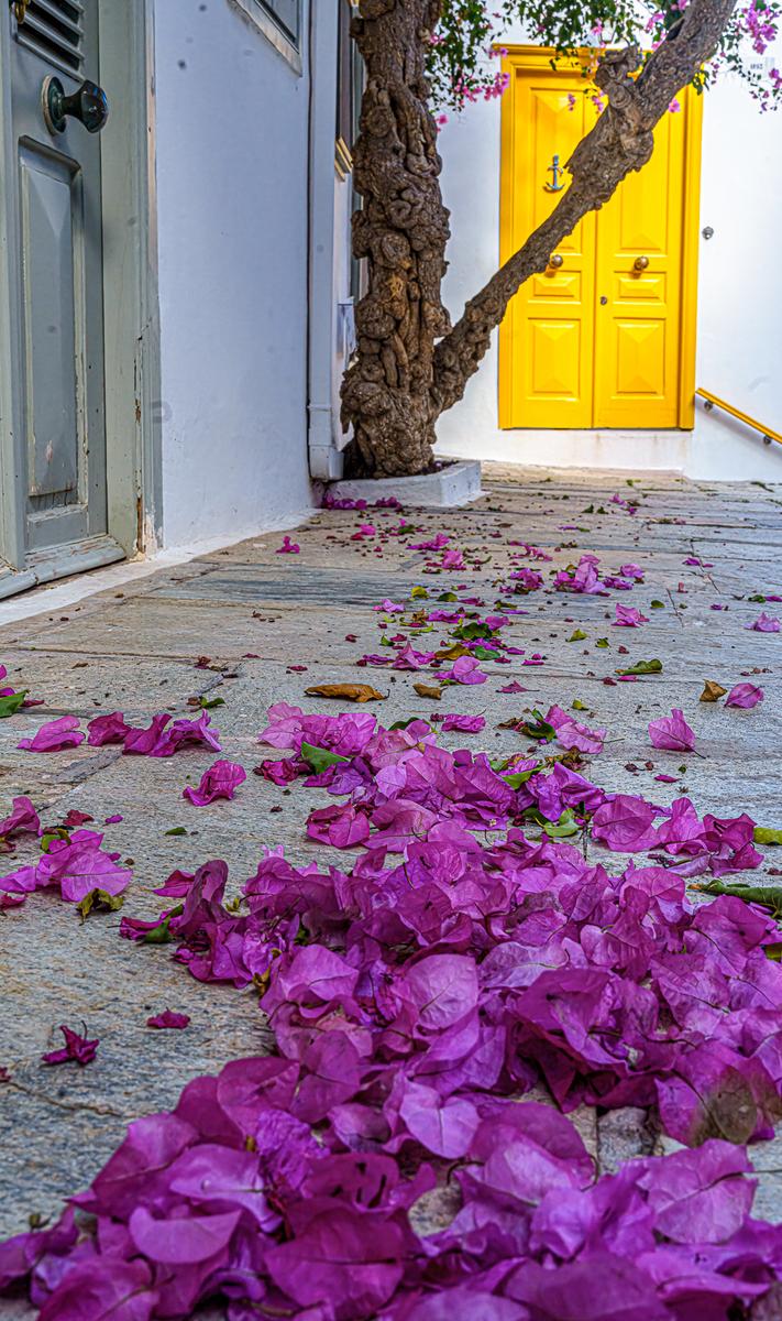 Hydra doorway and Bouganvillea..jpg