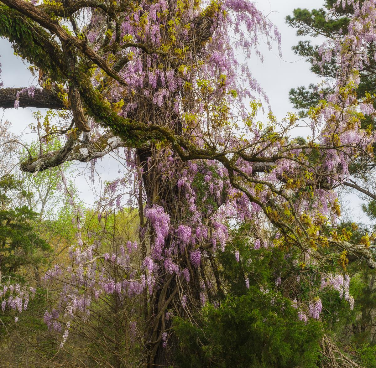 _3110469-Edit.jpg
