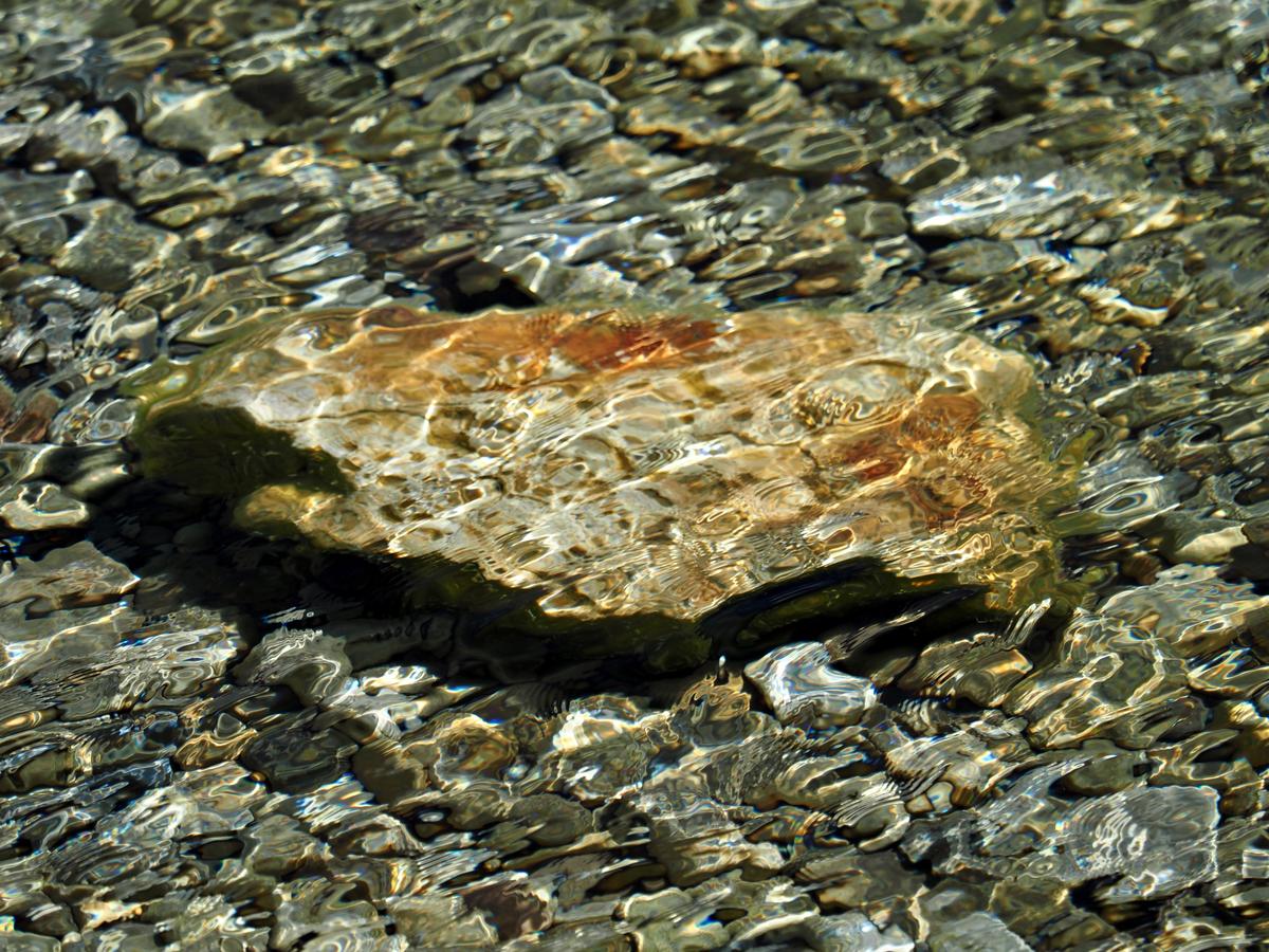 P5310097x.jpg