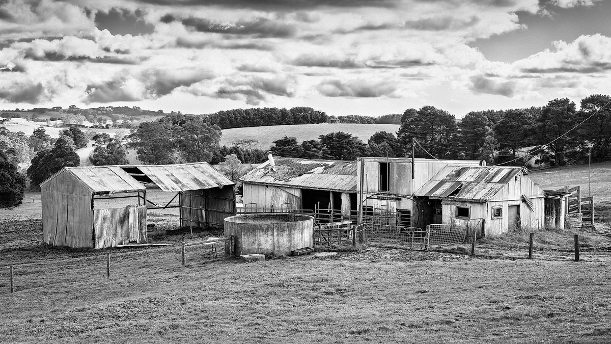 Bena Shed Walkerville pola  DSC02151 B&W.jpg