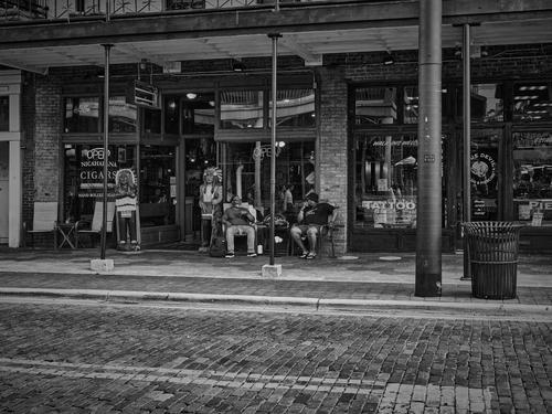 Yabor City Trolly_nz85099-20250403-0320.jpg