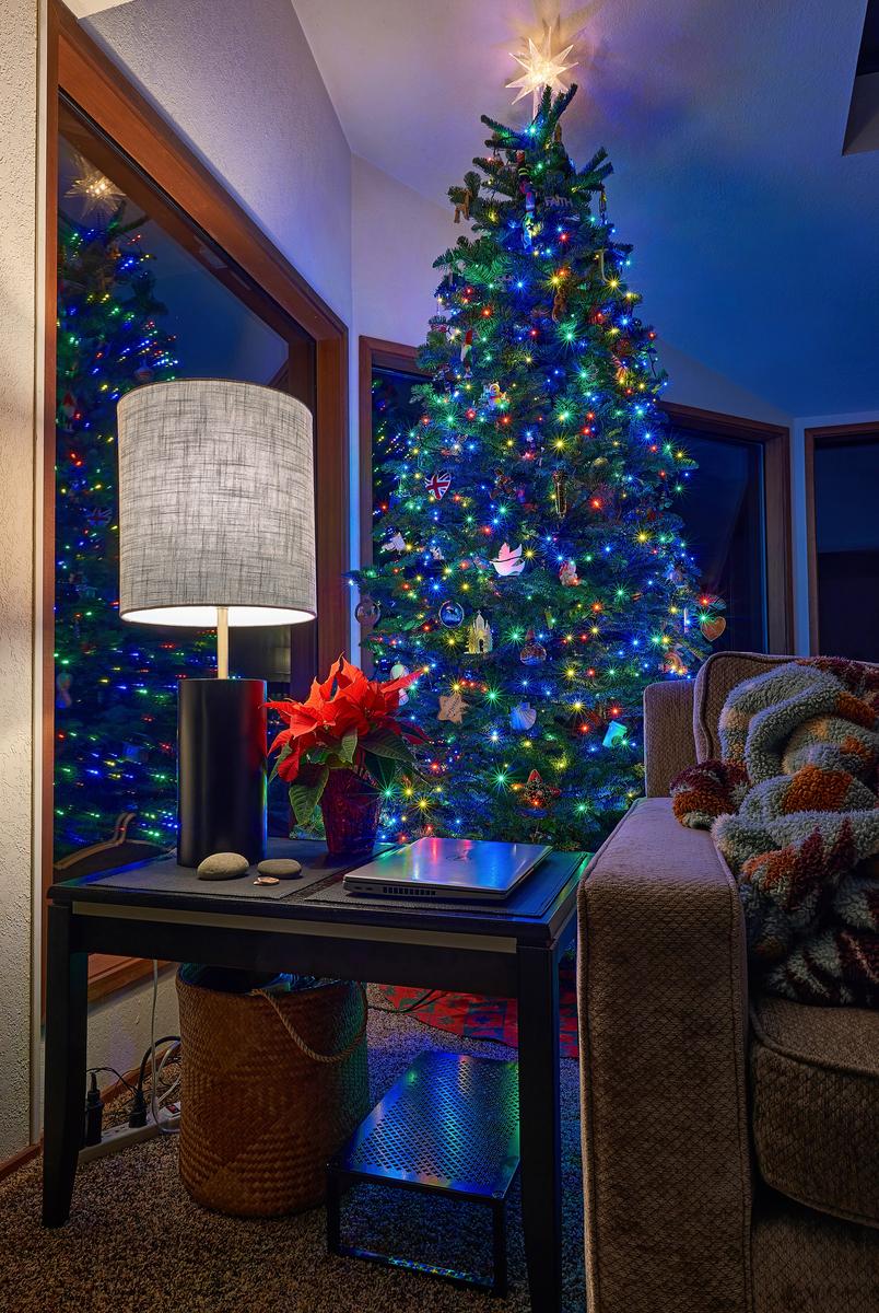 christmas-tree-small.jpg