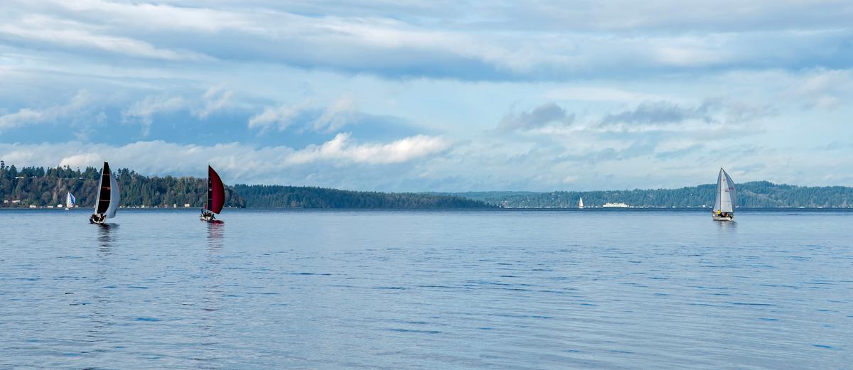 sailboats-wide-01-crop.jpg