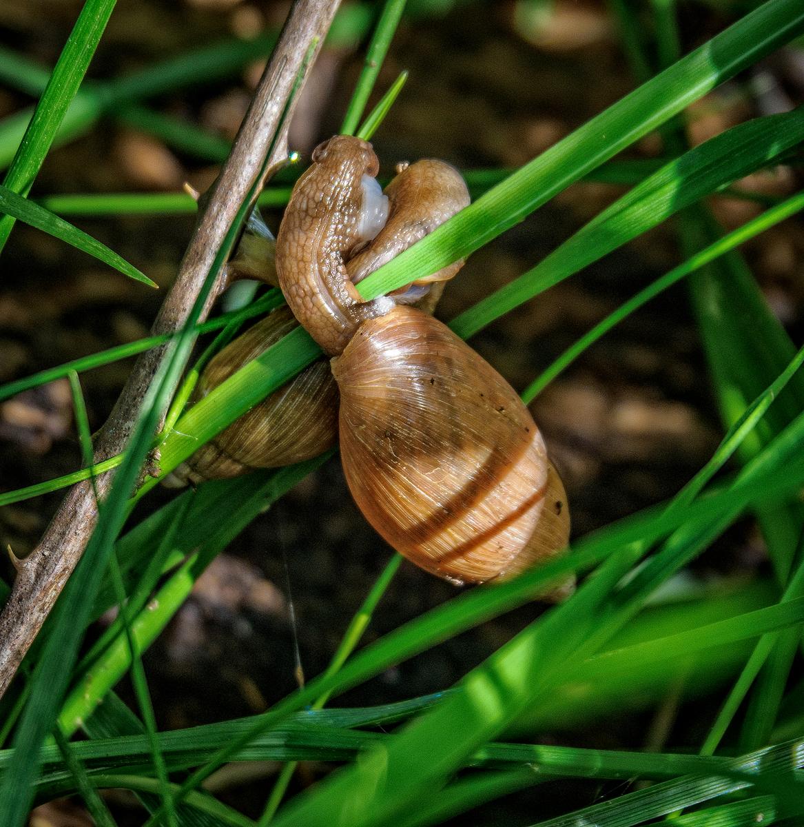 _4050207-Edit.jpg
