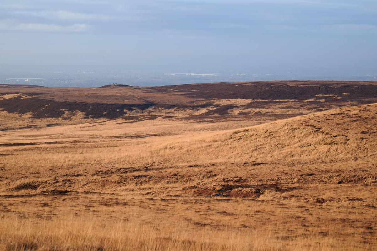 DSC_1127.jpg
