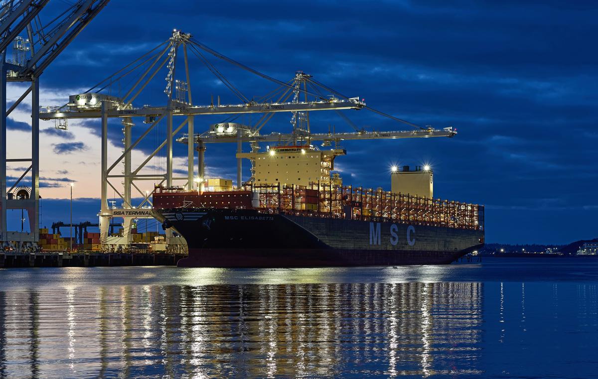 msc-elisabetta-02-small.jpg