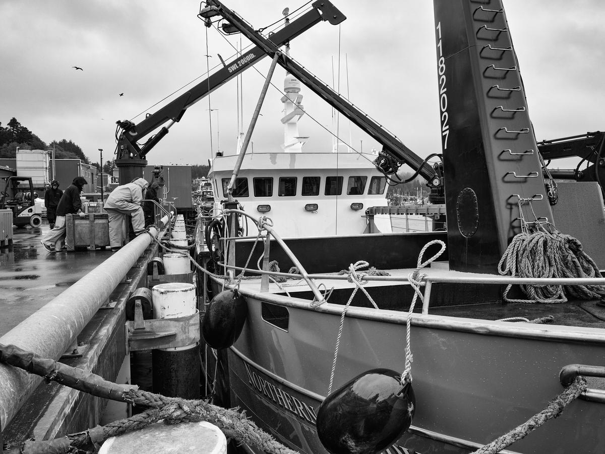 Newport-gfrf1297-20250929-1352-topaz.jpg
