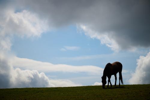 DSC_1578.jpg