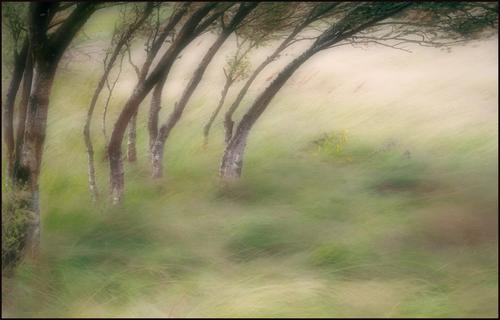 _DSC3492_abs_sRGB_ss.jpg
