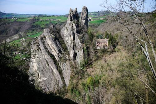8DS_0887.jpg