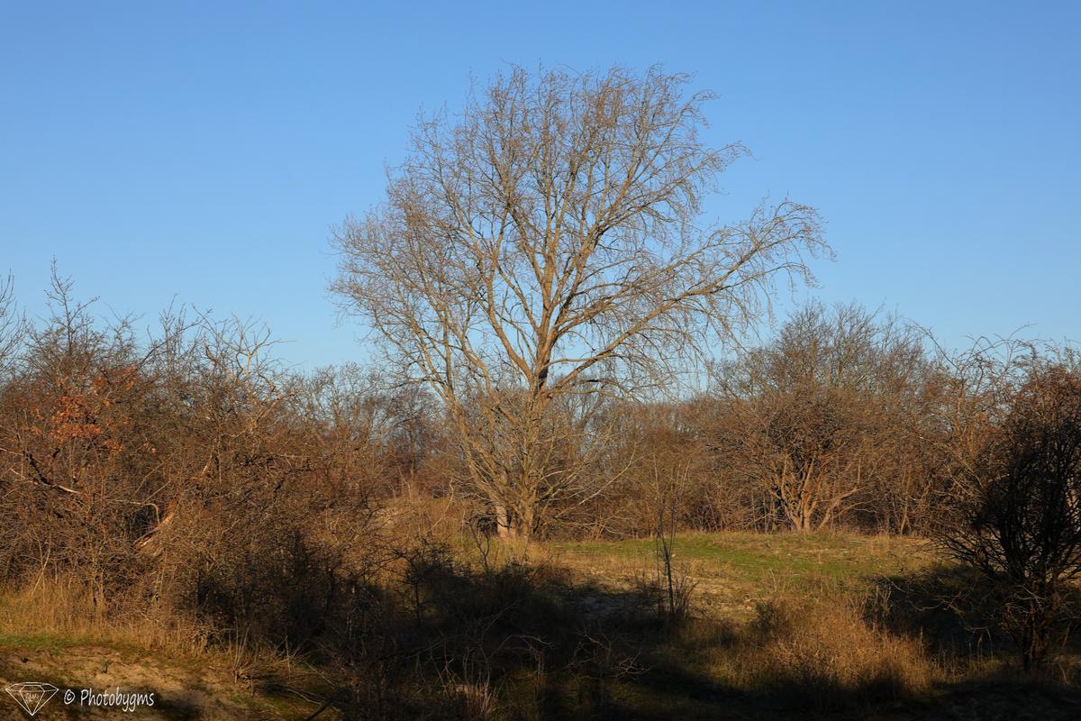 62B_6875.jpg