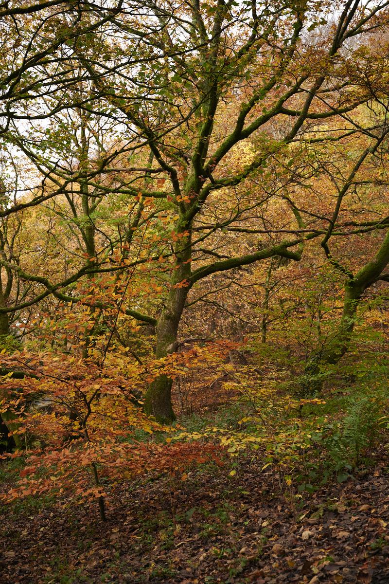 DSC_8883.jpg