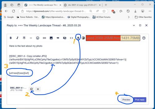 Screenshot 1.jpg
