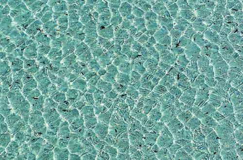 Shallow Waters.jpg