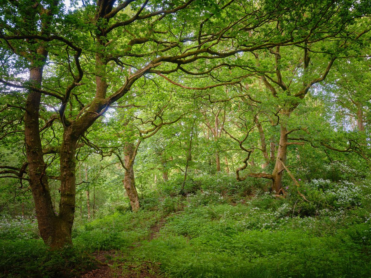 DSCF3184 1.jpg