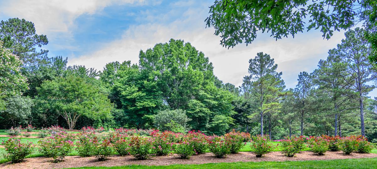 Gibbs Gardens 20260606-1441.jpg