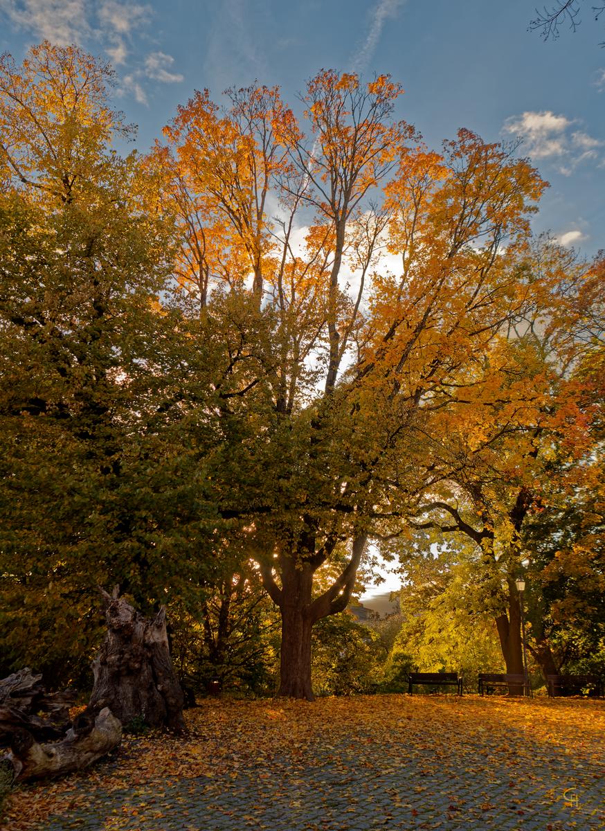 PA190096_DxO-1.jpg