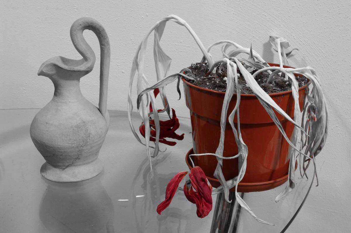 IMGP0006bwvaseredbloomfinallores.jpg