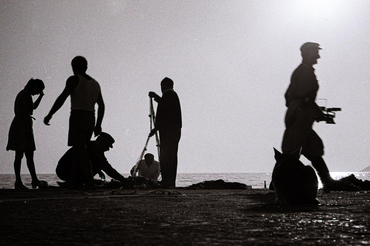 Unloading the night's catch.2 (1 of 1).jpg