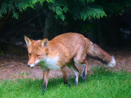 DSC_2184.jpg